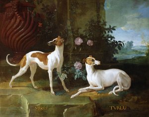 Misse og Turlu, to greyhounds af Louis XV